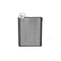 898139376 Isuzu D-Max Elpárologtató-Páralecsapó 2012-2019