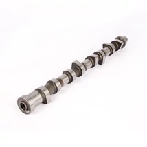 13020-AD202 Nissan Cabstar Vezérműtengely SZÍVÓ F24 2.5 dCi 2006-2013