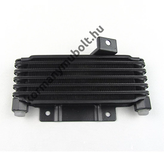 Mitsubishi Pajero Olajhűtő MB033779