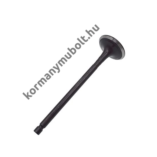 Mitsubishi Pajero Kipufogó Szelep MD373855