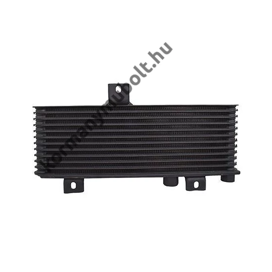  Mitsubishi L200 Olajhűtő MR111819